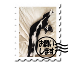 Howl3 sticker #13994454