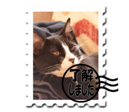 Howl3 sticker #13994456