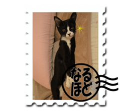 Howl3 sticker #13994457