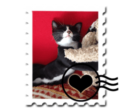 Howl3 sticker #13994460