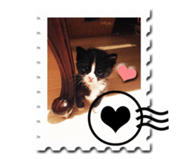 Howl3 sticker #13994461