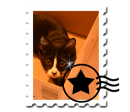 Howl3 sticker #13994465