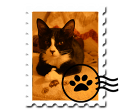 Howl3 sticker #13994467