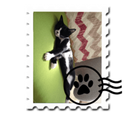 Howl3 sticker #13994468