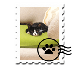 Howl3 sticker #13994469