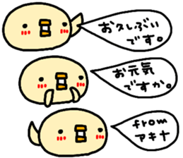 "AKINA" only name sticker sticker #13994655