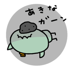 "AKINA" only name sticker sticker #13994666