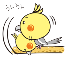 Cockatoo's emotions and sorrows sticker #13995481