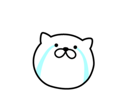 Pretty kitten Sticker 12 sticker #13996199