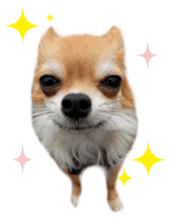 Sticker of Cereza 4 sticker #13996959