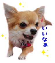 Sticker of Cereza 4 sticker #13996960