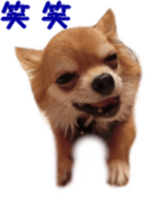 Sticker of Cereza 4 sticker #13996961