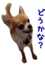 Sticker of Cereza 4 sticker #13996963