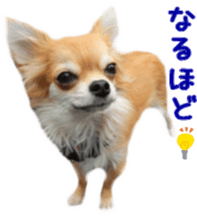 Sticker of Cereza 4 sticker #13996964