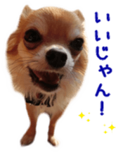 Sticker of Cereza 4 sticker #13996965