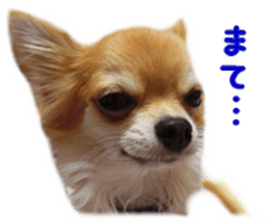 Sticker of Cereza 4 sticker #13996967