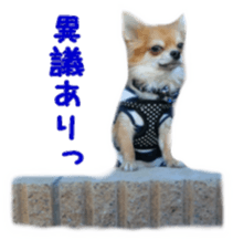 Sticker of Cereza 4 sticker #13996968