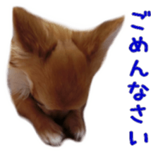 Sticker of Cereza 4 sticker #13996969