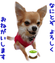 Sticker of Cereza 4 sticker #13996971