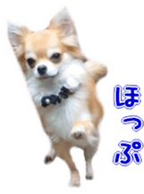 Sticker of Cereza 4 sticker #13996972