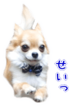 Sticker of Cereza 4 sticker #13996974