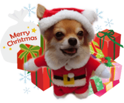 Sticker of Cereza 4 sticker #13996977