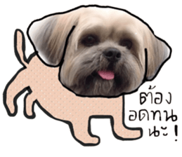 Sweet Gang sticker #13997502