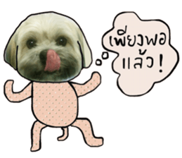 Sweet Gang sticker #13997512