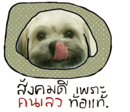 Sweet Gang sticker #13997516