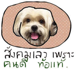 Sweet Gang sticker #13997517