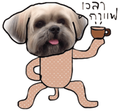 Sweet Gang sticker #13997522