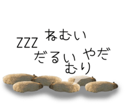 Capybara of Kapi-chan 3 sticker #13997698