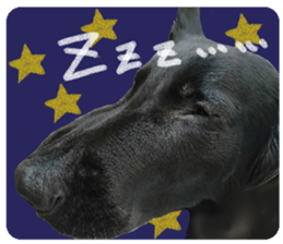 Flat-coated Retriever sticker #13998527