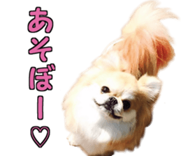 Pekio, Chiwako & Tsubumi sticker #13999503