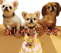 Pekio, Chiwako & Tsubumi sticker #13999504