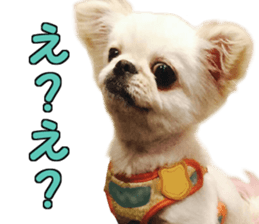 Pekio, Chiwako & Tsubumi sticker #13999505