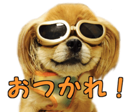 Pekio, Chiwako & Tsubumi sticker #13999506