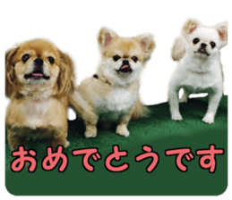 Pekio, Chiwako & Tsubumi sticker #13999508