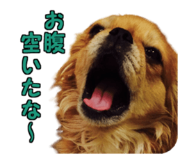 Pekio, Chiwako & Tsubumi sticker #13999509