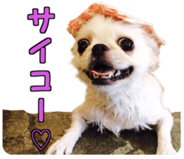 Pekio, Chiwako & Tsubumi sticker #13999510