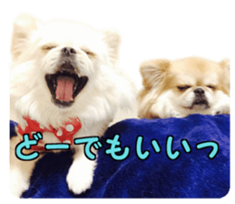 Pekio, Chiwako & Tsubumi sticker #13999511