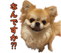 Pekio, Chiwako & Tsubumi sticker #13999512