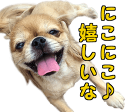 Pekio, Chiwako & Tsubumi sticker #13999513