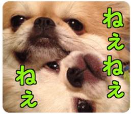 Pekio, Chiwako & Tsubumi sticker #13999514