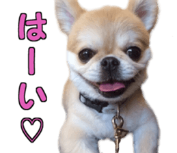 Pekio, Chiwako & Tsubumi sticker #13999515