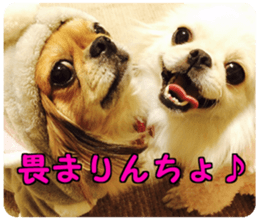 Pekio, Chiwako & Tsubumi sticker #13999516