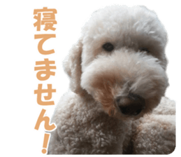 Frebull Buster with friends sticker #13999606