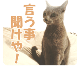 Frebull Buster with friends sticker #13999609