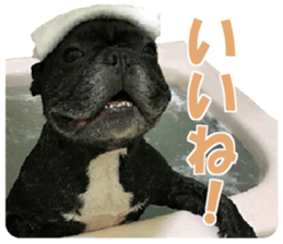 Frebull Buster with friends sticker #13999613