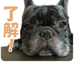 Frebull Buster with friends sticker #13999620